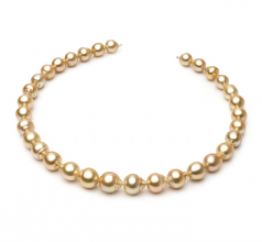 10.1-12.5mm Barroco Quality Mar del Sur Collar in 18 pulgadas Oro