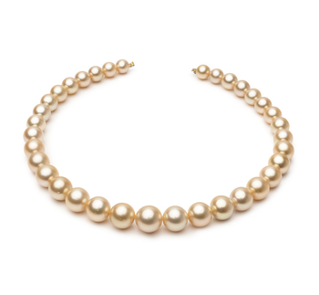 9.3-13.3mm AA Quality Mar del Sur Collar in 18 pulgadas Oro