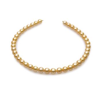 9-11.4mm AA Quality Mar del Sur Collar in 18 pulgadas Oro