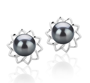 7-8mm AAAA Quality Perla de Agua Dulce Pendientes in Morgan Negro