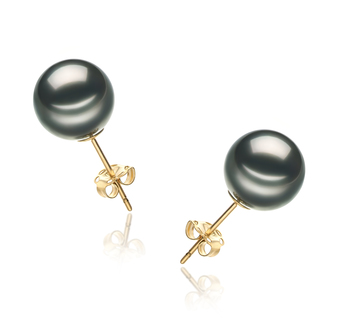 9-10mm AA Quality Perla Tahití Pendientes in Negro