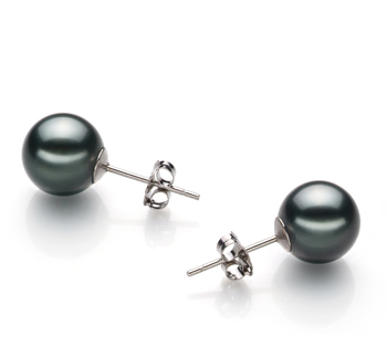 8-9mm AA Quality Perla Tahití Pendientes in Negro